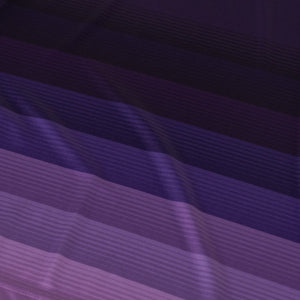JOMA ANDERLECHT 25-26 HOME JERSEY PURPLE/WHITE