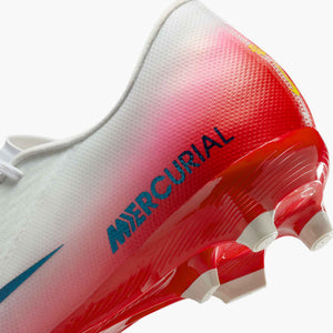NIKE ZM VAPOR 16 ACADEMY FG LV8 UNIVERSITY RED/DARK OBSIDIAN