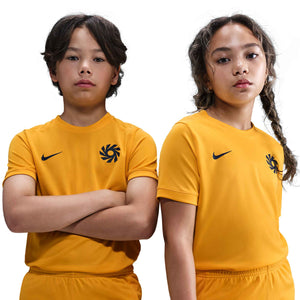 NIKE JR HAALAND DRI-FIT SS TOP UNIVERSITY GOLD