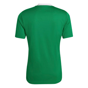 ADIDAS KVV SINT-DENIJSSPORT ENTRADA22 JERSEY GREEN