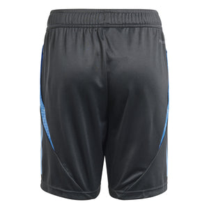 ADI JR ARGENTINIA 24 TR SHORT CARBON