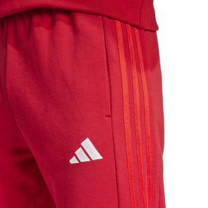 ADI BAYERN 24-25 DNA PANTS POWER RED