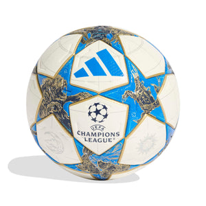 ADI UCL 25-26 PRO BALL WHITE/DARK/PANTONE