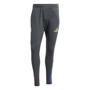 ADI LYON 25-26 TR PANT CARBON/HAZY BEIGE
