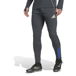 ADI LYON 25-26 TR PANT CARBON/HAZY BEIGE