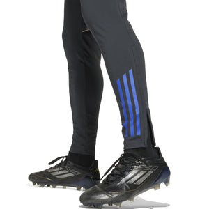 ADI LYON 25-26 TR PANT CARBON/HAZY BEIGE