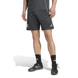 ADI LYON 25-26 TR SHORT CARBON/HAZY BEIGE