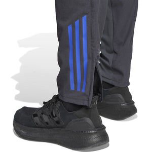 ADI LYON 25-26 PRESENTATION PANT CARBON/HAZY BEIGE