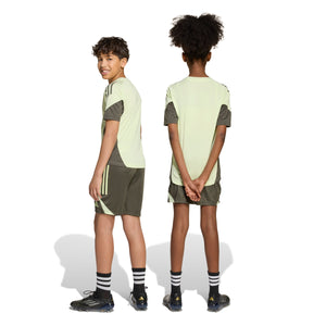ADI JR REAL 25-26 TR SHORT UTILITY GREY