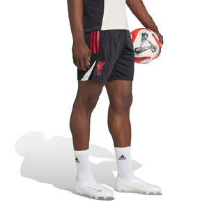 ADI LIVERPOOL 25-26 TR SHORT BLACK