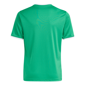 ADIDAS JR KVV SINT-DENIJSSPORT ENTRADA26 JERSEY GREEN