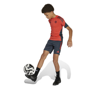 ADI JR BAYERN 25-26 TR SHORT BOLD ONIX