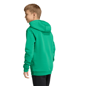 ADIDAS JR KVV SINT-DENIJSSPORT ENTRADA26 HOODY GREEN