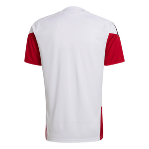 ADI GERMANY WC26 TR JERSEY WHITE