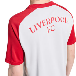 ADI LIVERPOOL 26-27 AWAY PRE-MATCH JERSEY GREY TWO