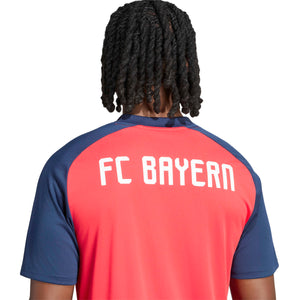 ADI BAYERN 26-27 PRE-MATCH JERSEY PURE RUBY