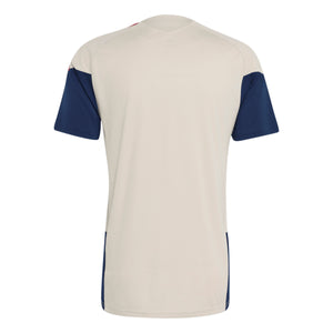 ADI BAYERN 26-27 TR JERSEY ALUMINA/NIGHT INDIGO