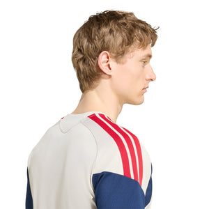 ADI BAYERN 26-27 TR JERSEY ALUMINA/NIGHT INDIGO
