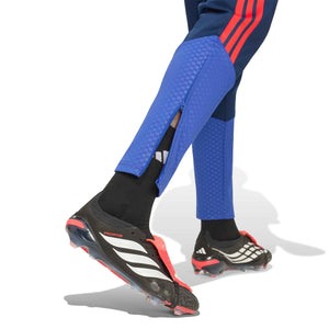 ADI LYON 26-27 TR PANT NAVY BLUE/PURE RUBY