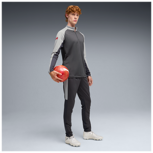 PUMA INDIVIDUAL LIGA ZIP TOP DUSKY GRAY/GRAY ECHO