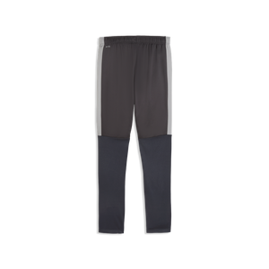 PUMA INDIVIDUAL LIGA TR PANT DUSKY GRAY/GRAY ECHO
