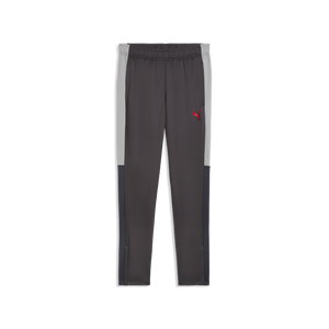 PUMA INDIVIDUAL LIGA TR PANT DUSKY GRAY/GRAY ECHO