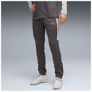 PUMA INDIVIDUAL LIGA TR PANT DUSKY GRAY/GRAY ECHO