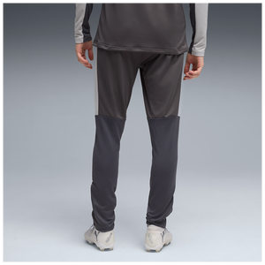 PUMA INDIVIDUAL LIGA TR PANT DUSKY GRAY/GRAY ECHO