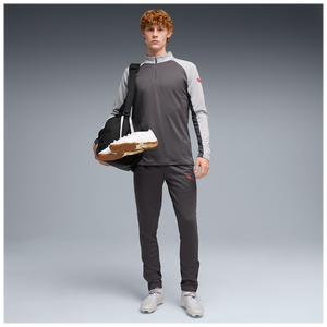 PUMA INDIVIDUAL LIGA TR PANT DUSKY GRAY/GRAY ECHO