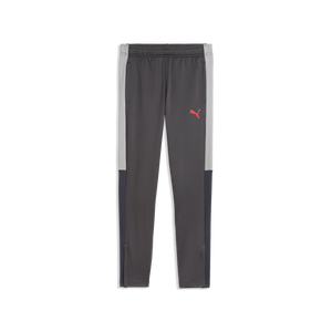 PUMA JR INDIVIDUAL LIGA TR PANT DUSKY GRAY/GRAY ECHO