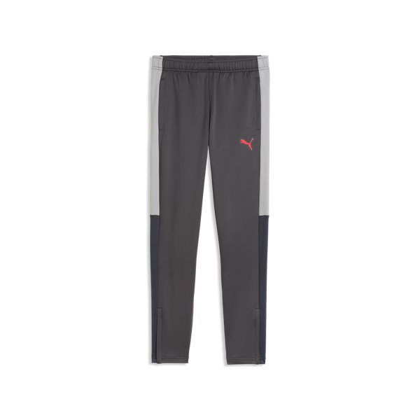PUMA JR INDIVIDUAL LIGA TR PANT DUSKY GRAY/GRAY ECHO