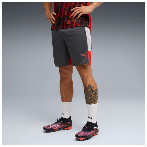 PUMA INDIVIDUAL LIGA TR SHORT DUSKY GRAY/GRAY ECHO