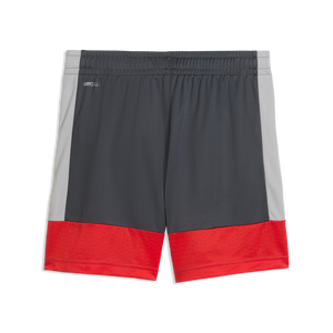 PUMA JR INDIVIDUAL LIGA TR SHORT DUSKY GRAY/GRAY ECHO