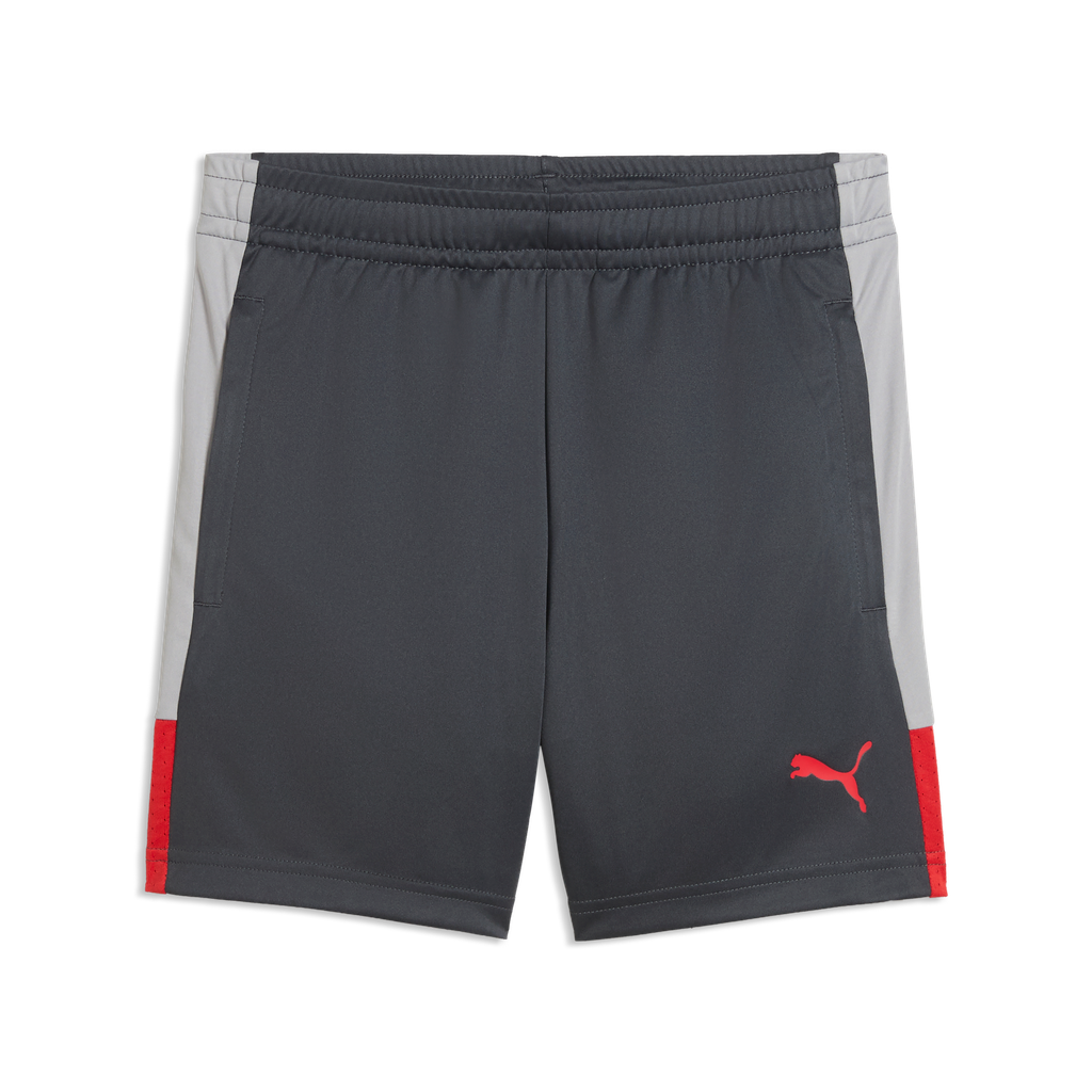 PUMA JR INDIVIDUAL LIGA TR SHORT DUSKY GRAY/GRAY ECHO