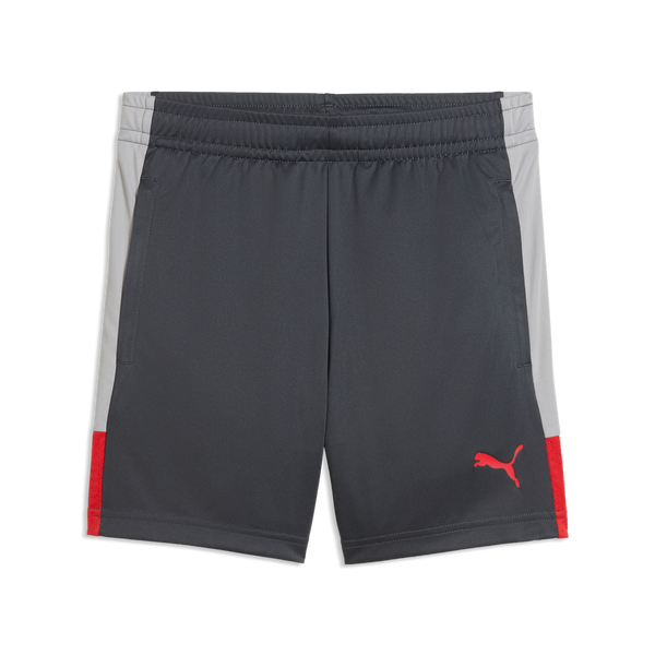 PUMA JR INDIVIDUAL LIGA TR SHORT DUSKY GRAY/GRAY ECHO