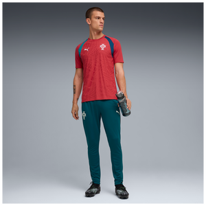 PUMA PORTUGAL WC26 TR JERSEY CLUB RED