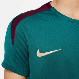 NIKE JR PSG 24-25 STRIKE SS TOP GEODE TEAL