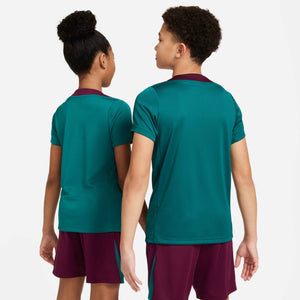 NIKE JR PSG 24-25 STRIKE SS TOP GEODE TEAL