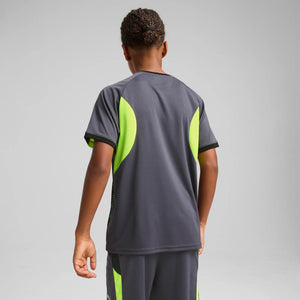 PUMA JR INDIVIDUAL LIGA GRAPHIC TR JERSEY GALACTIC GRAY/YELLOW