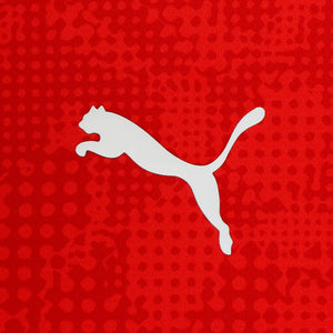 PUMA MILAN 25-26 TR JERSEY FOR ALL TIME RED