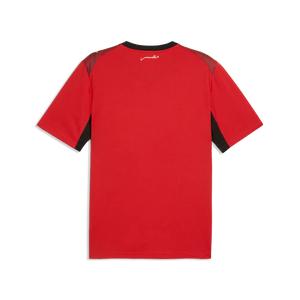 PUMA EGYPT WC26 HOME JERSEY INTENSE RED