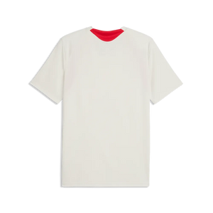 PUMA MILAN 26-27 TR JERSEY VAPOR GRAY