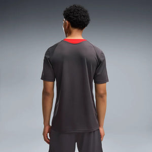 PUMA MILAN 26-27 TR JERSEY FLAT DARK GRAY